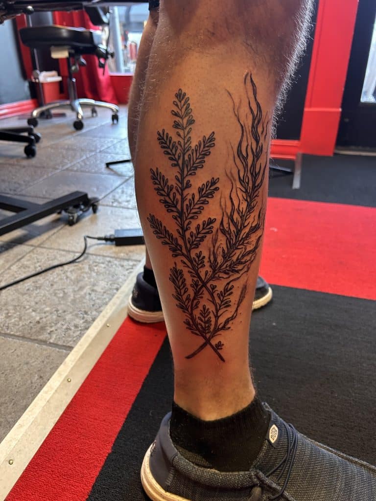 Black and grey fine line tattoo of crossed botanical leaves and leafy branches extending up the back of a person's lower leg.